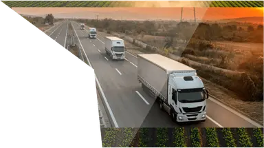 Transportation - TechResearch