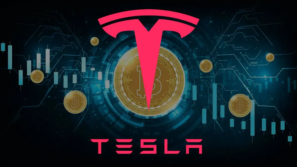 Tesla profit