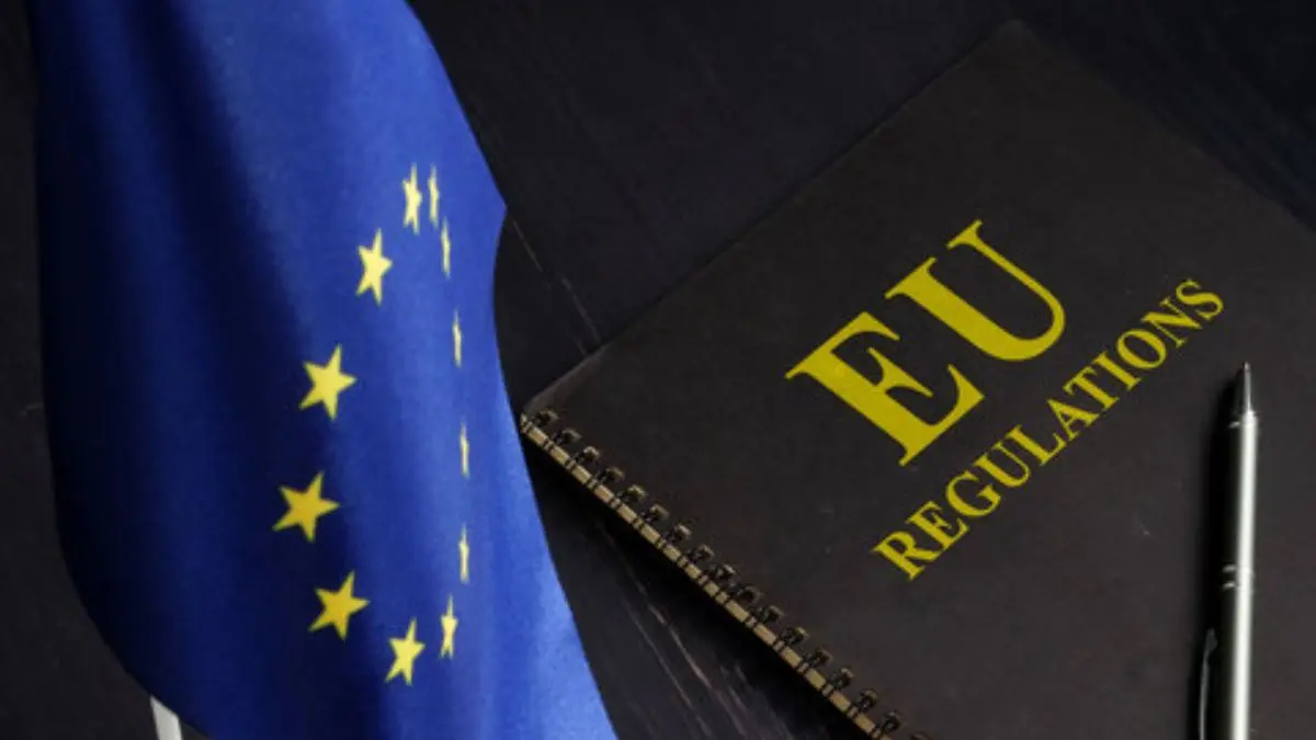 Meta and TikTok win EU tech fees challenge